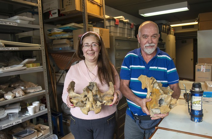 María Inés Pérez y Daniel Perea, con piezas del Charruatoxodon, en Facultad de Ciencias. · Foto: Alessandro Maradei