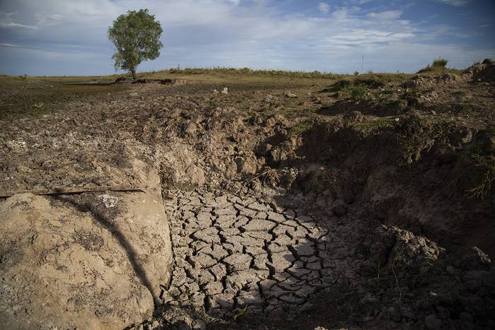 Sequía en Pache, departamento de Florida (archivo, enero de 2023). · Foto: Camilo dos Santos