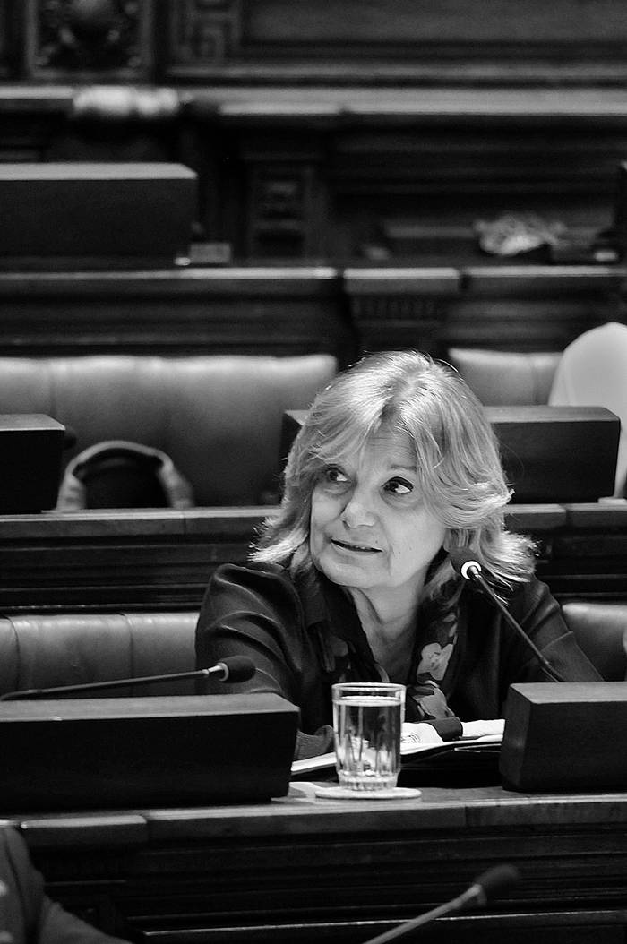 Eneida de León, ministra de Vivienda, Ordenamiento Territorial y Medio Ambiente, ayer,
durante la interpelación en la Cámara de Diputados. Foto: Sandro Pereyra