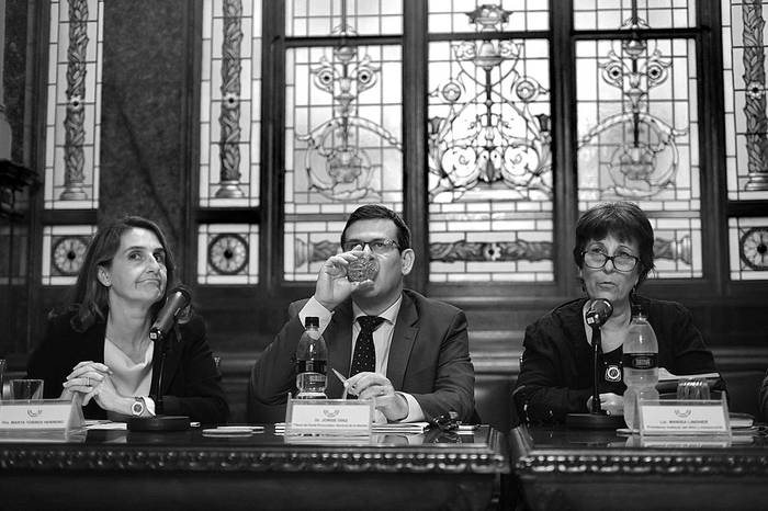 Marta Torres Herrero, Jorge Díaz y Marisa Lindner, ayer, en la antesala de la Cámara de Representantes. Foto: Pablo Vignali
