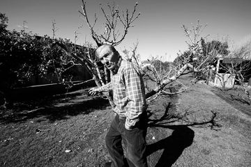 Washington Reyes, poblador de Villa Ituzaingó, en el jardín junto a sus durazneros. / Foto: Sandro Pereyra (Archivo, Julio de 2014) Washington Reyes, poblador de Villa Ituzaingó, en el jardín junto a sus durazneros. / Foto: Sandro Pereyra (Archivo, Julio de 2014)