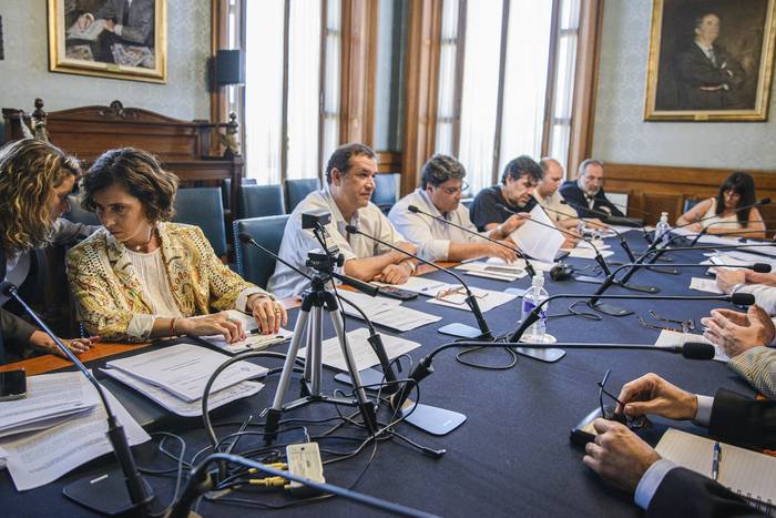 Comisión de Ganadería, en el Parlamento (21.12.2022). · Foto: Mara Quintero