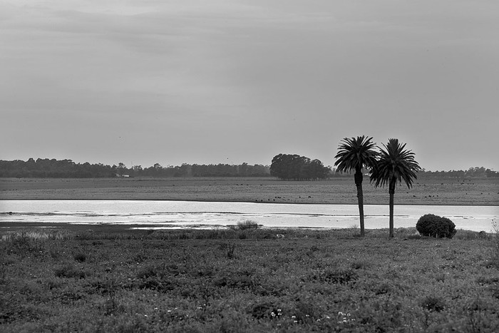 Laguna del Cisne, en Canelones. / Foto: Sandro Pereyra (archivo, agosto de 2014)