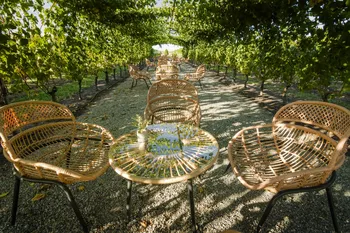 Bodega Familia Fripp en Conchillas. · Foto: Daniela Hernández