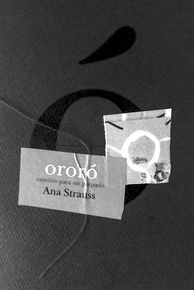 Foto principal del artículo 'La canción de Ana Strauss'