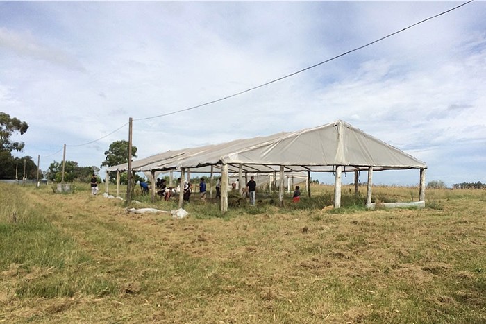 Escuela granja 52 de Durazno. Foto: gentileza de Claudia Ferreira.
