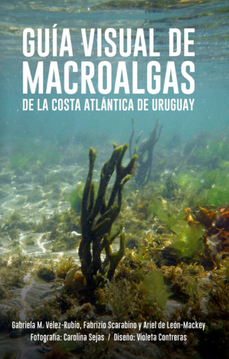 Foto de tapa de Guía visual de macroalgas de la costa atlántica del Uruguay