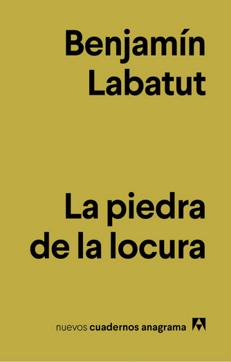 Cover photo of La piedra de la locura