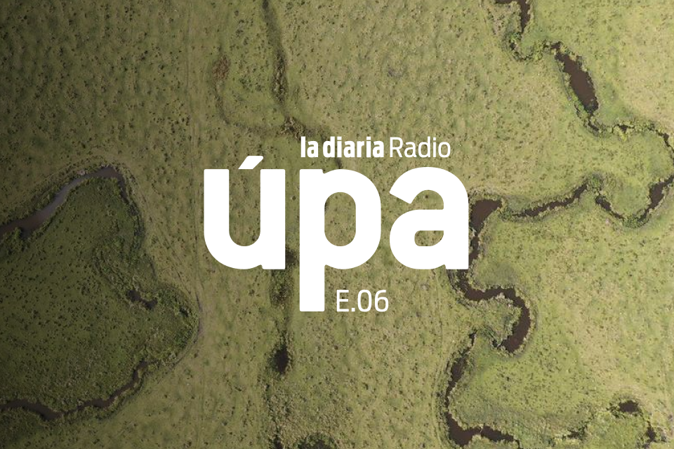 Conductora en cabina con micrófono y consola de mezcla