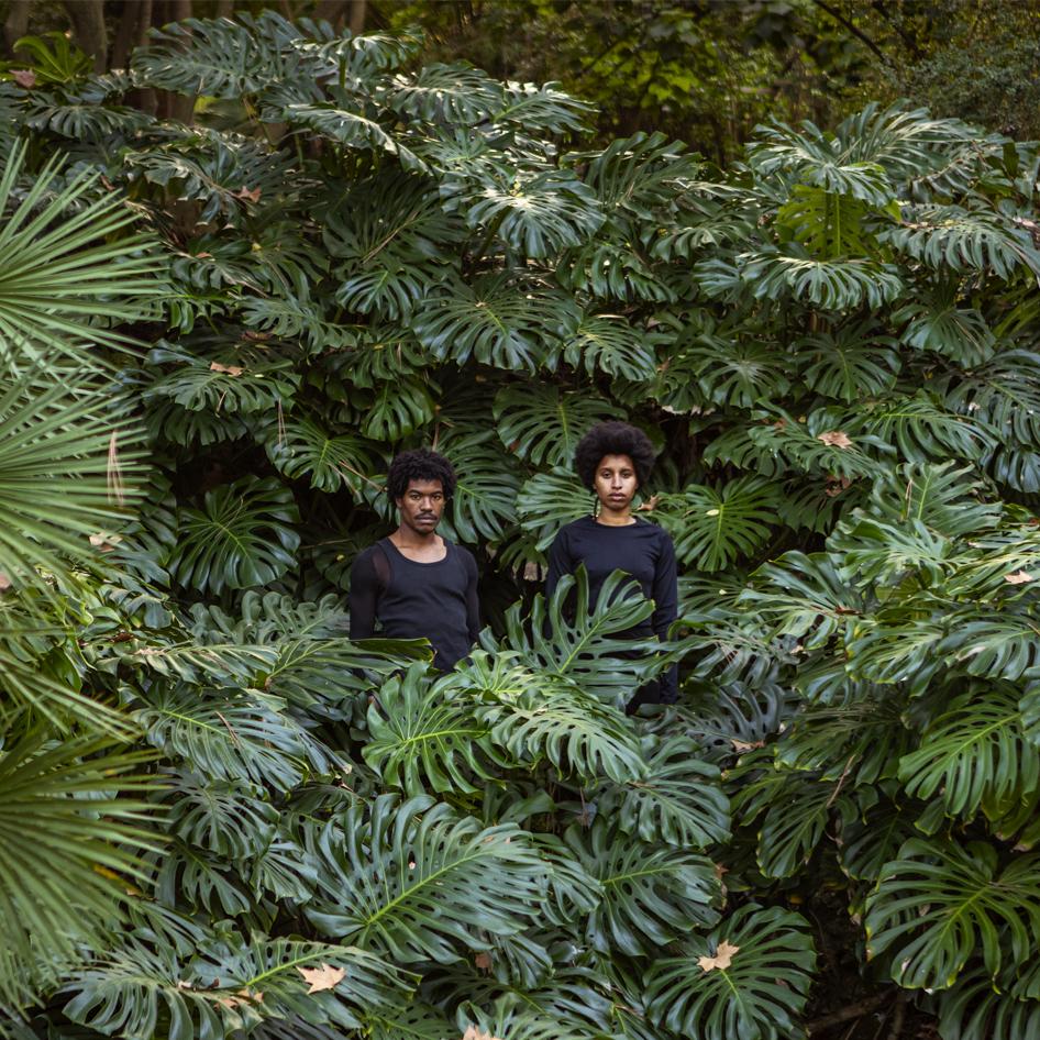 _Creole Garden_ (2024), de Mónica de Miranda. Foto: difusión del pabellón de Portugal.