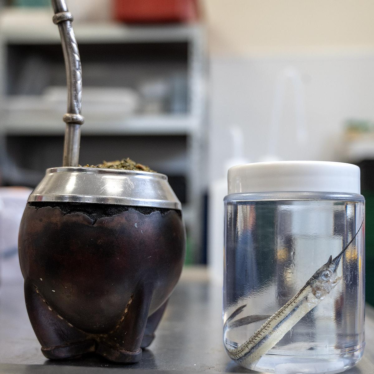 Foto principal del artículo 'Lo que el Falkor se llevó' · Foto: Martín Varela Umpiérrez