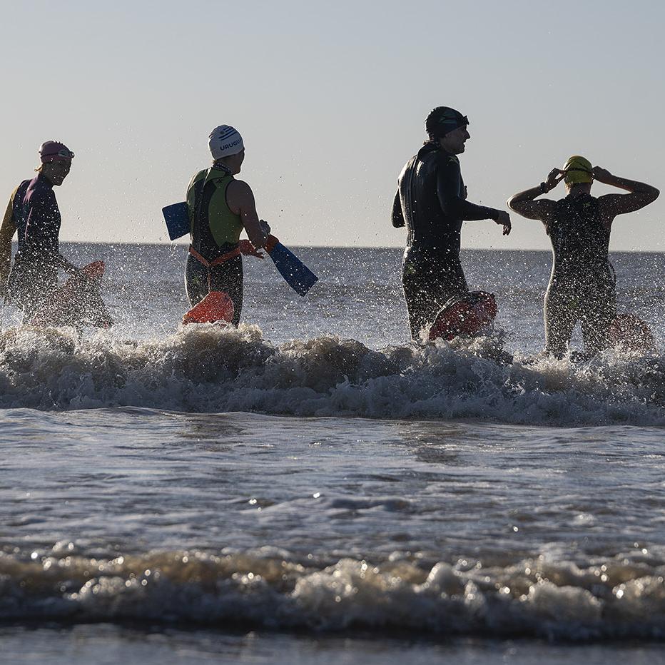 Foto principal del artículo 'Nadar juntos'
