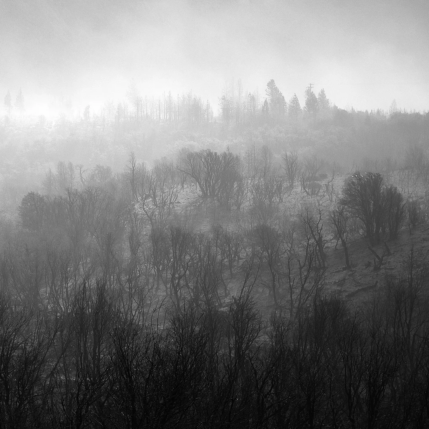 Vientos levantan cenizas del territorio incendiado en Cuesta del Ternero, Río Negro. · Foto: Denali Degraf