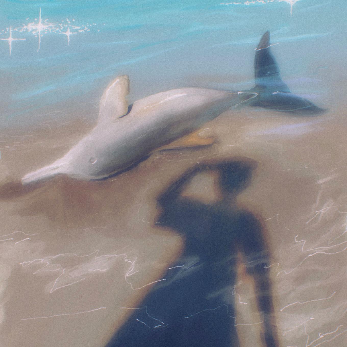 Foto principal del artículo 'Los peligros de ser delfín' · Ilustración: Noe Cor