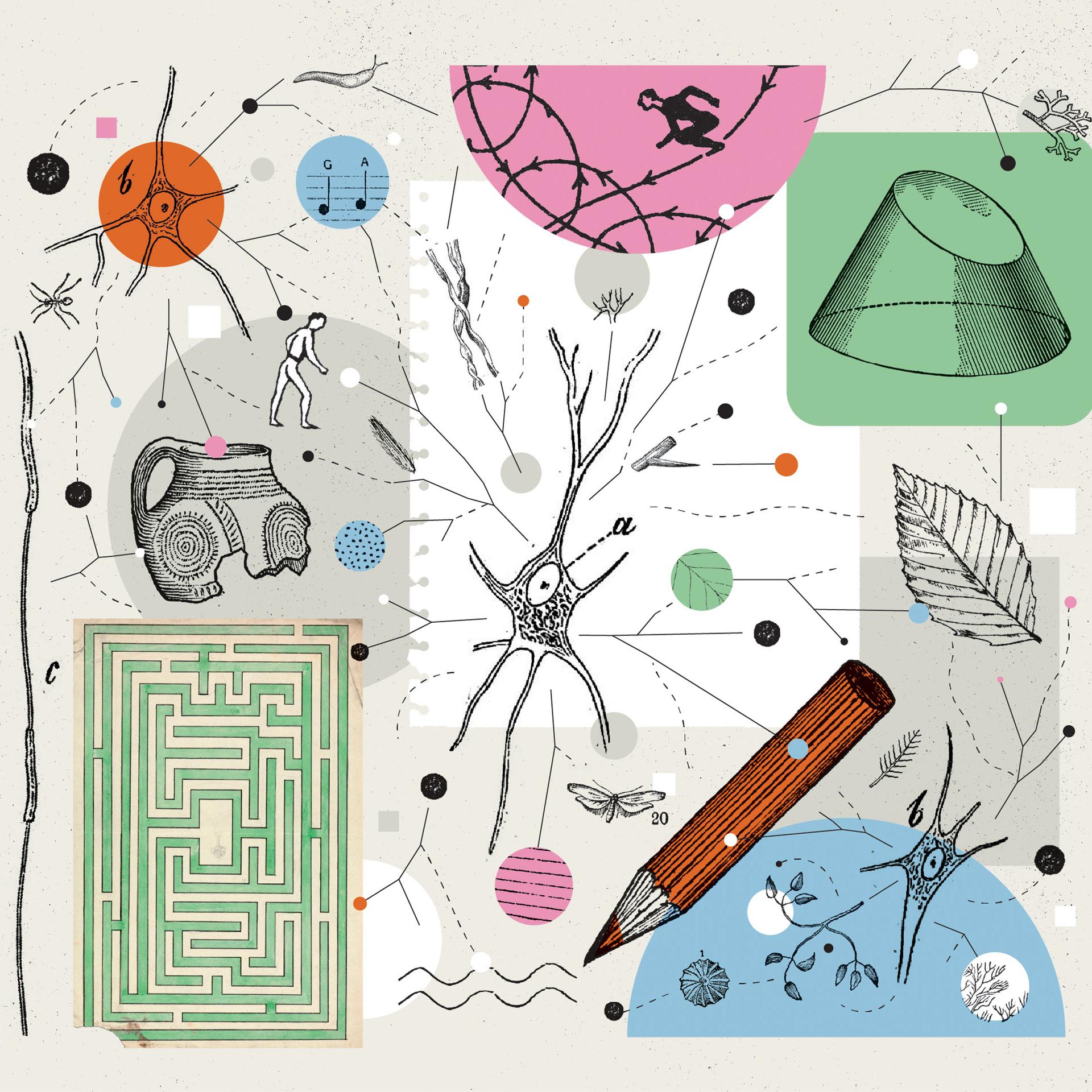 Foto principal del artículo 'Inteligencia en la hierba' · Ilustración: Gilda Martini