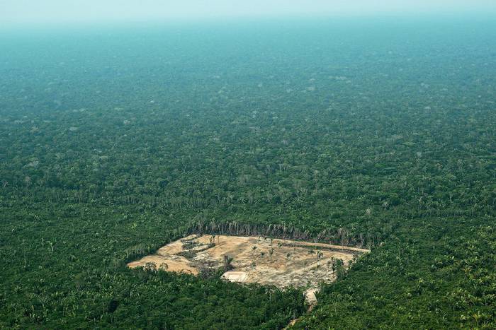 Foto de archivo tomada el 22 de setiembre de 2017 muestra un área deforestada en el Amazonas Occidental de Brasil. El consumo desenfrenado diezma la vida silvestre global y agota la capacidad de la Tierra para satisfacer los crecientes apetitos de la humanidad, advirtió el grupo conservacionista WWF el 30 de octubre de 2018.  · Foto: Carl de Souza, AFP