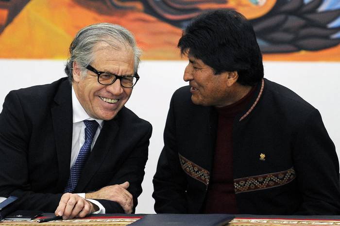 Luis Almagro y Evo Morales durante un acuerdo de cooperación para desplegar una misión de observadores para las elecciones generales de octubre, en el Palacio de Gobierno, La Paz (archivo, mayo 2019). · Foto: Jorge Bernal, AFP