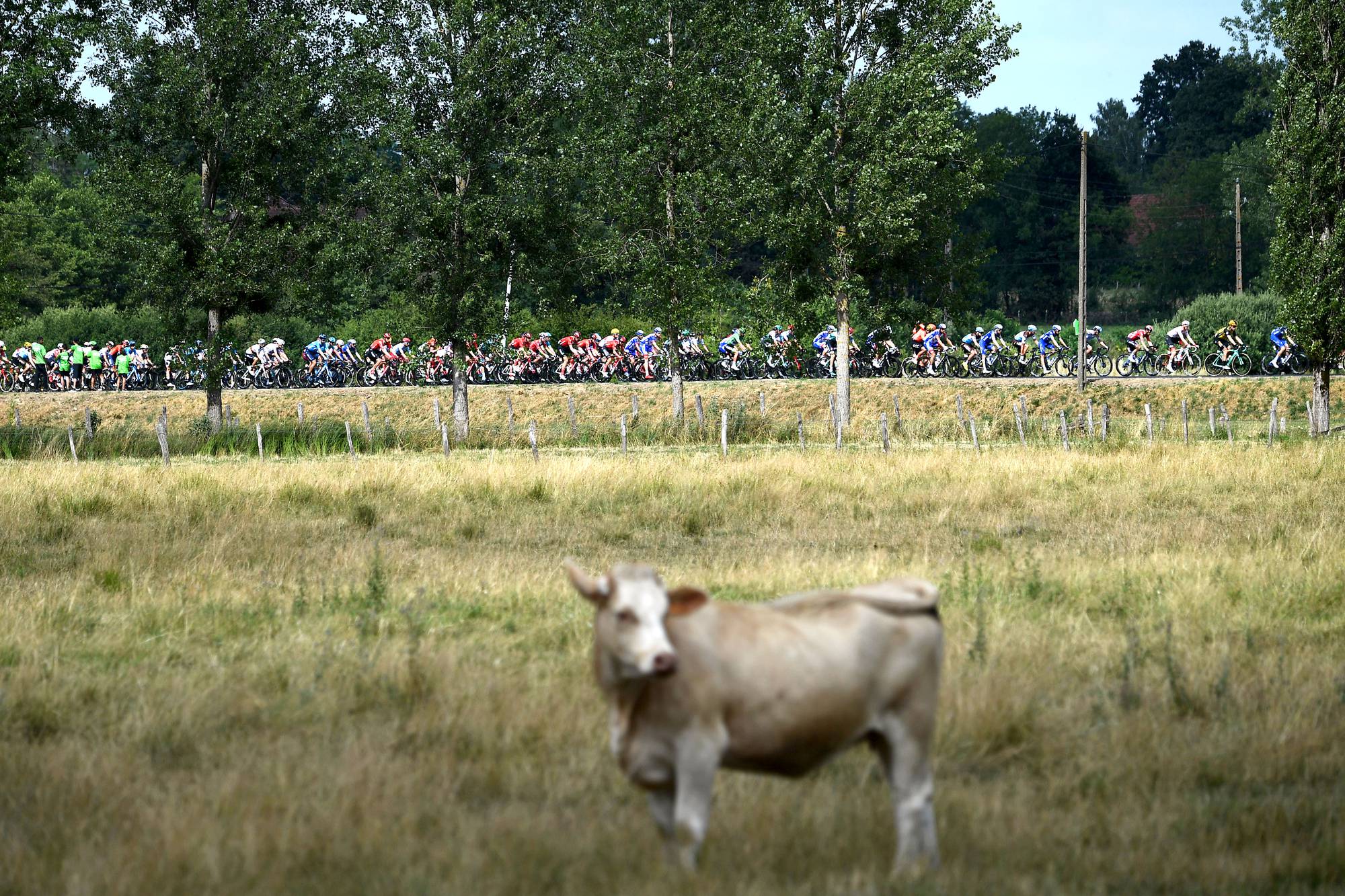 Séptima etapa de la 106ª edición del Tour de France, entre Belfort y Chalon-sur-Saone, el 12 de julio de 2019. Foto: Anne-Christine Poujoulat / AFP