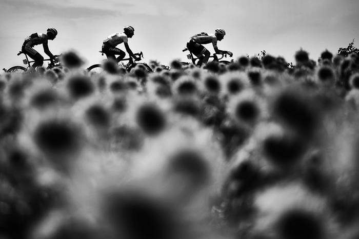 Thomas De Gendt, de Bélgica, Stephane Rossetto, de Francia, y Lilian Calmejane, de Francia, durante la undécima etapa de la 106ª edición de la carrera ciclista del Tour de Francia entre Albi y Toulouse, el 17 de julio. · Foto: Marco Bertorello