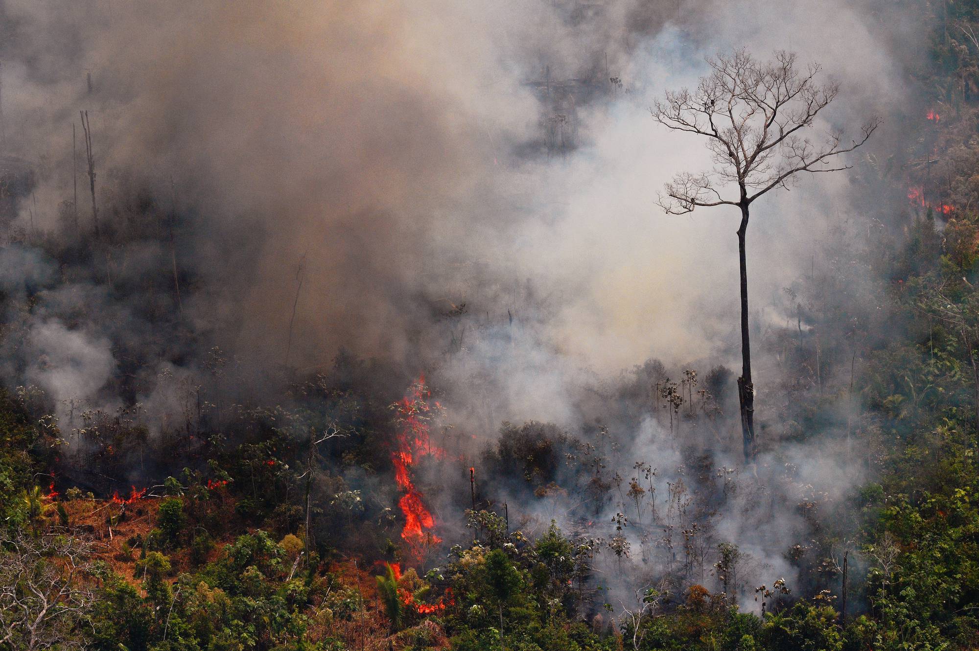 Incendio en la selva amazónica a unos 65 km de Porto Velho, en el estado de Rondonia, en el norte de Brasil, el 23 de agosto.