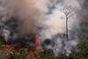 Incendio en la selva amazónica a unos 65 km de Porto Velho, en el estado de Rondonia, en el norte de Brasil, el 23 de agosto. · Foto: Carl de Souza, AFP Incendio en la selva amazónica a unos 65 km de Porto Velho, en el estado de Rondonia, en el norte de Brasil, el 23 de agosto. · Foto: Carl de Souza, AFP