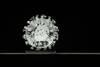 La escultura en vidrio titulada "Coronavirus-Covid-19", del artista británico Luke Jerram, muestra el virus un millón de veces más grande que sus dimensiones reales.