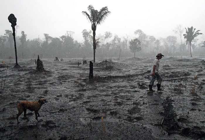 Zona quemada de la selva amazónica, cerca de Porto Velho, estado de Rondonia, Brasil (archivo, agosto de 2019) · Foto: Carl De Souza, AFP.