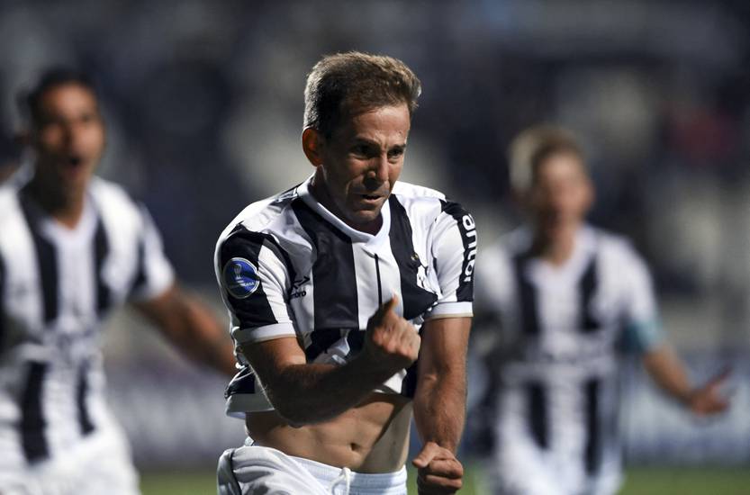 20220310 garra sudamericana