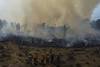 Incendios Intencionales