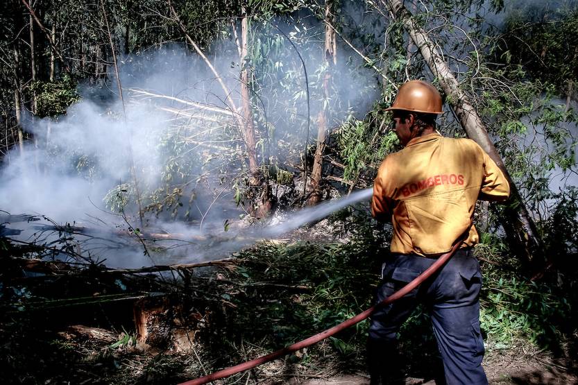 20230105 incendio