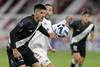 danubio 000_33EB2WL