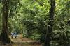 Veredas de material recorren toda la estación, lo que hace fácil moverse entre la selva. Veredas de material recorren toda la estación, lo que hace fácil moverse entre la selva.