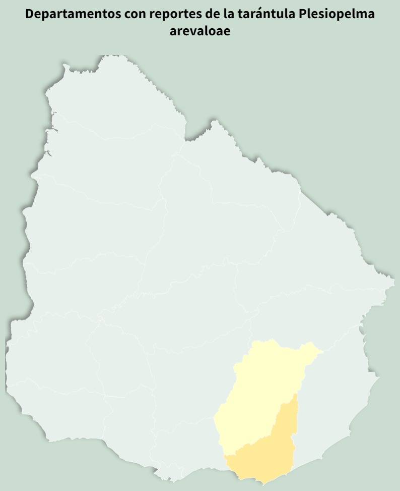 20260107 ciencia tarantula mapa