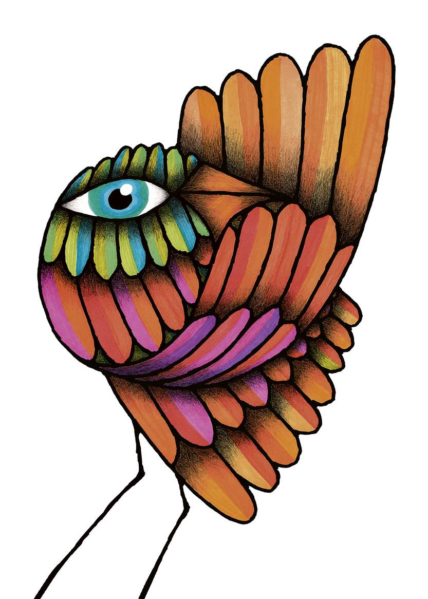 Palleiro