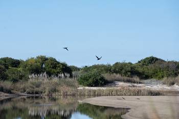 Área protegida Laguna Blanca en Santa Lucia del Este, departamento de Canelones. · Foto: Alessandro Maradei
