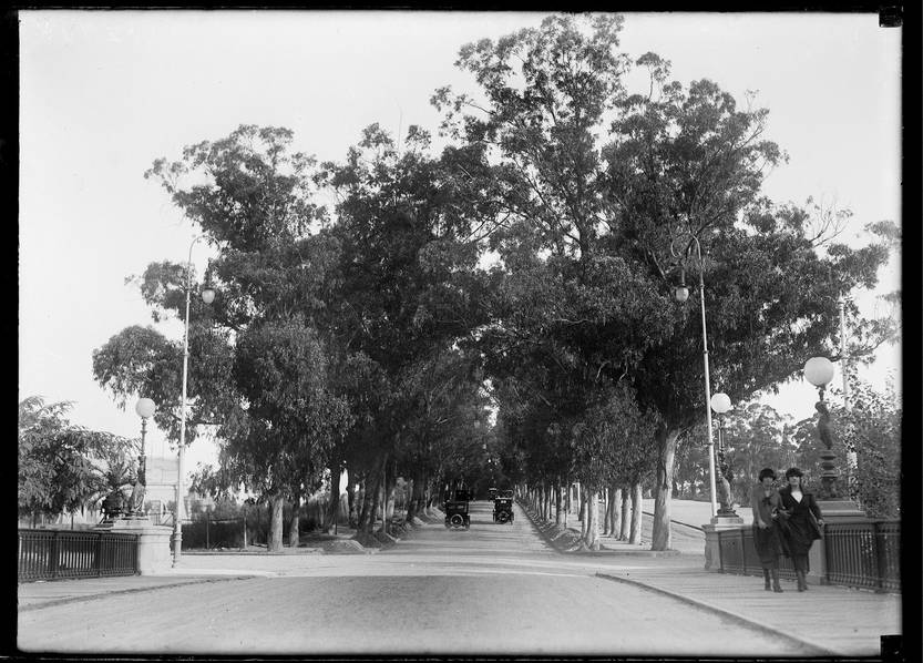 Lento 115 - Prado 06