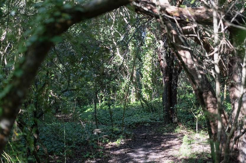 santa lucia 02 adelanto lunes 07