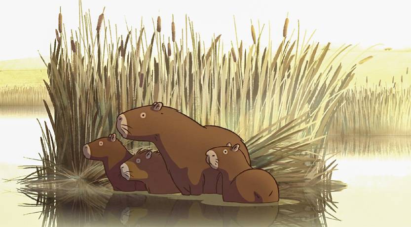 20251115 infantiles carpincho