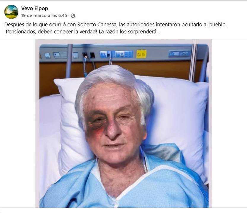 Canessa fake