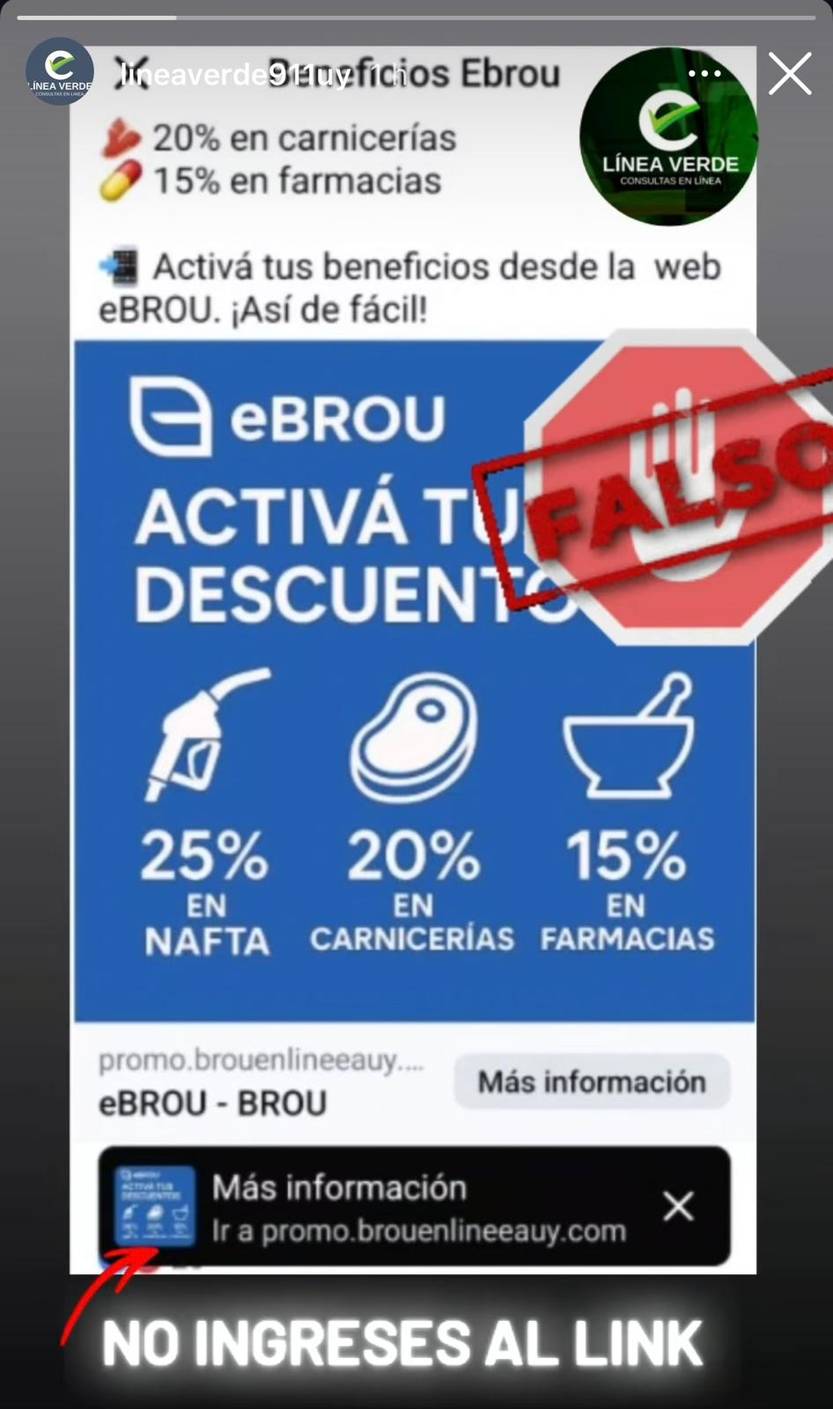 Falso brou
