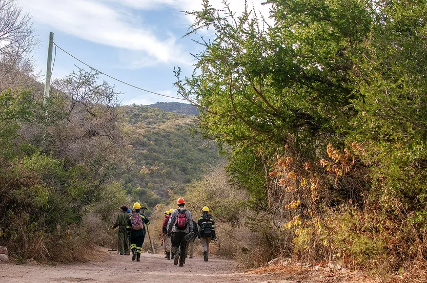 Lento 157 - Fuego y organización 09