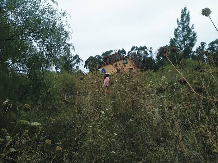 Milá, de diez años, camina desde la casa comunal a su casa, en El Campito, Sauce, Canelones, en enero de 2022.