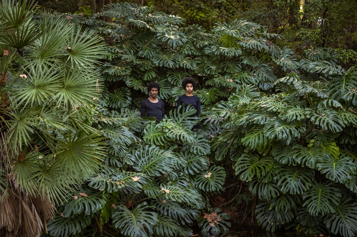 _Creole Garden_ (2024), de Mónica de Miranda. Foto: difusión del pabellón de Portugal.