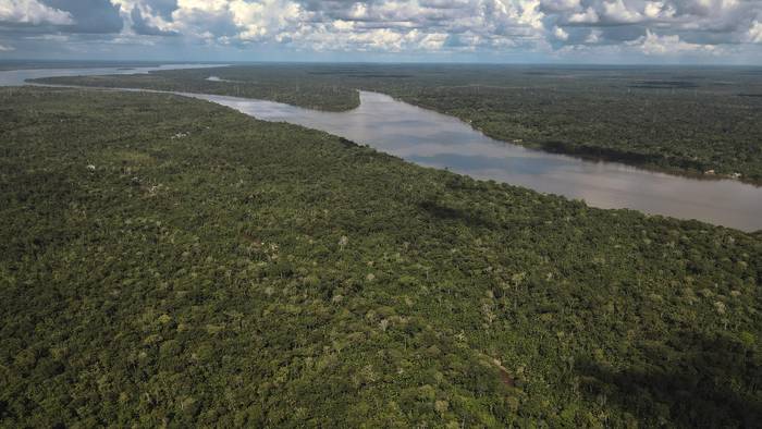 Floresta amazónica, en el estado de Pará, Brasil (archivo, abril 2023). · Foto:  Antonio Lacerda, Efe