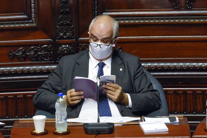 Gustavo Penadés, ayer, durante la sesión del Senado. · Foto: Federico Gutiérrez