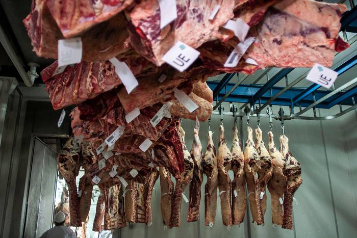 Producción de carne para exportación. · Foto: Pablo La Rosa, ADHOC