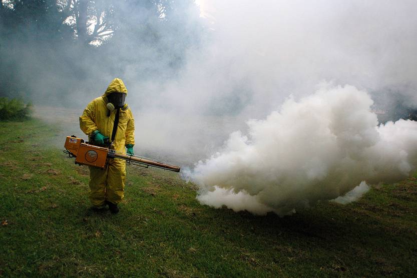 20230509 dengue