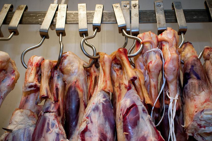 20221011 carne