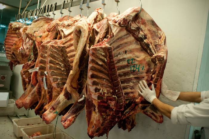 Carnicería en un supermercado (archivo, 2009) · Foto: Ricardo Antúnez, adhocFOTOS