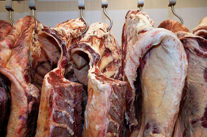 Foto principal del artículo 'Ingresos por exportaciones de carne cayeron 18% en el primer semestre' · Foto: Ricardo Antúnez, adhocFOTOS